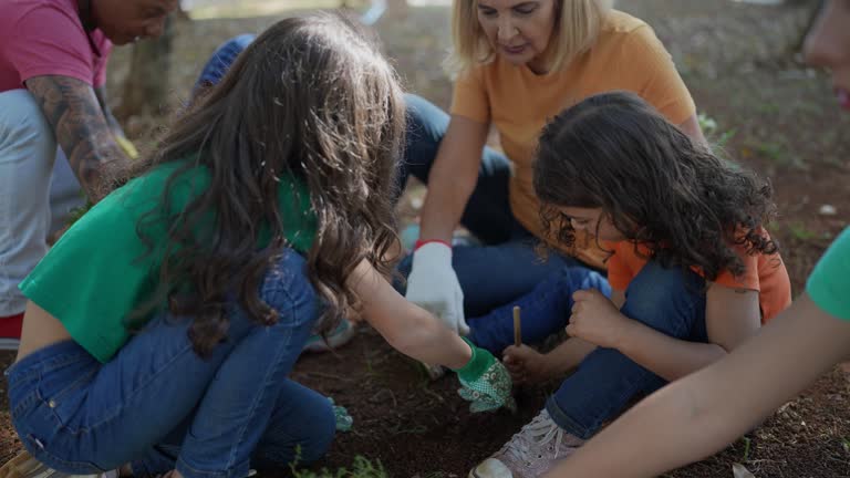 How Our Tree Care Process Works  in  Dinuba, CA